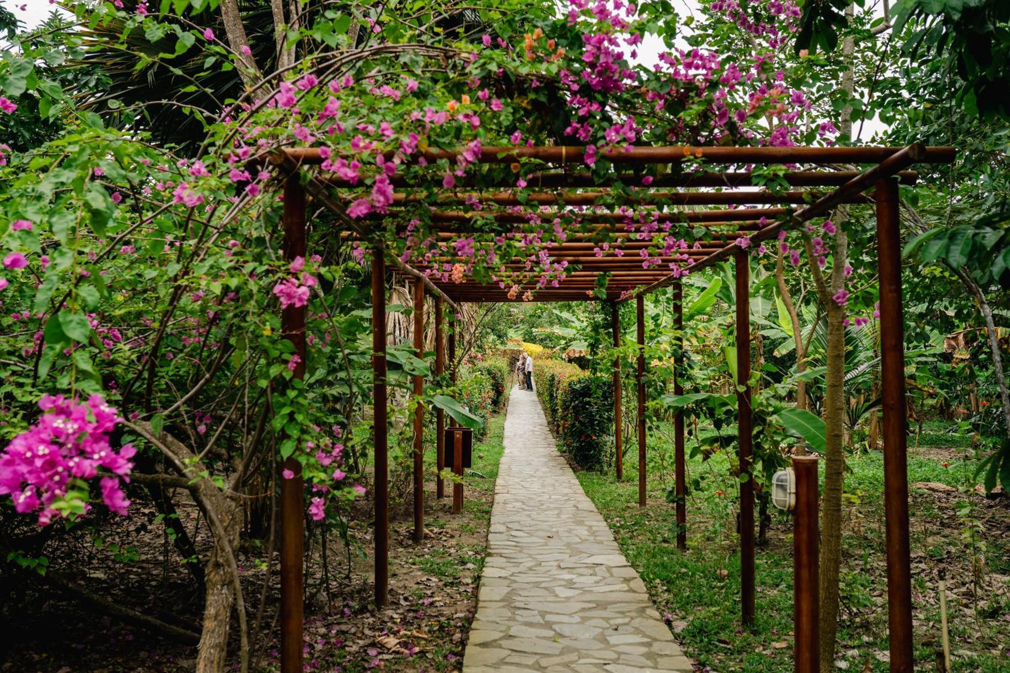 Villa Maria Tayrona, Jungle And Sea Experience Los Naranjos Eksteriør bilde